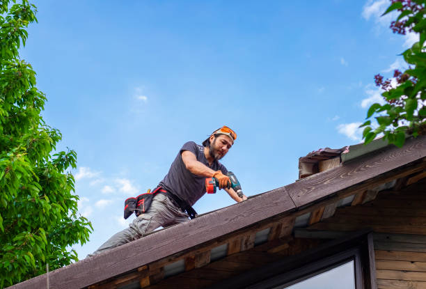 Best Storm Damage Roof Repair  in Elmwood, IL